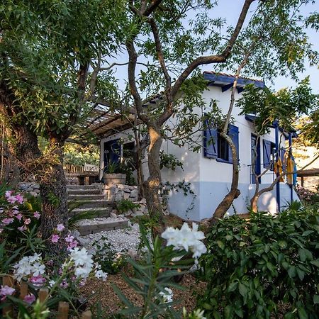 Les Maisons De Pecheurs Sete Ngoại thất bức ảnh
